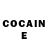 Cocaine Fish Scale karaoke lyrics